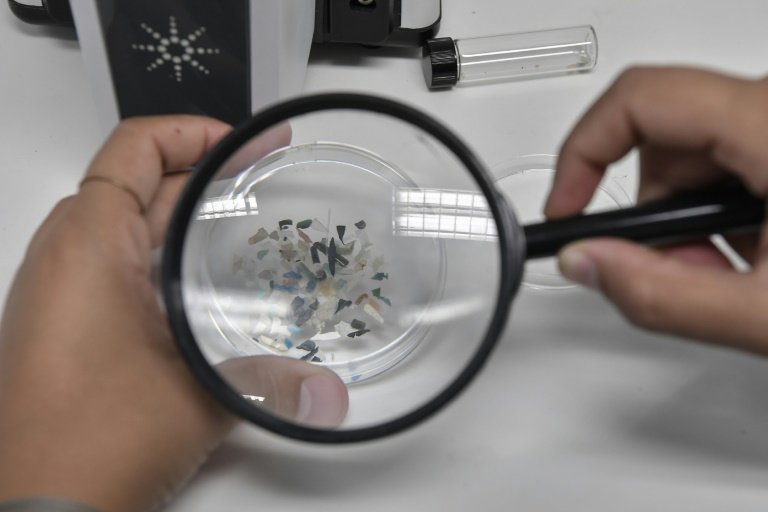 Assessing Microplastics in Our Bodies: A New Approach by Scientists