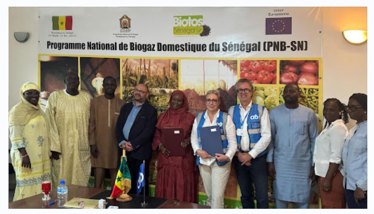 Carbon Industries Group Signs Major Carbon Credit Agreements with Senegalese Government | Currency News | Financial and Business Insights