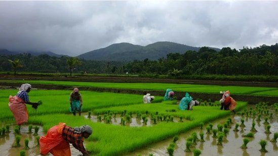 Increasing Bad Loans in India’s Agriculture Sector | India News