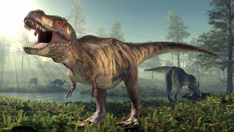 It Took 35 Years for T. rex to Reach Full Maturity