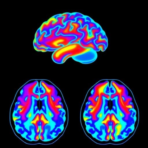 Transforming Brain Tumor Analysis with Mod-SE(2)