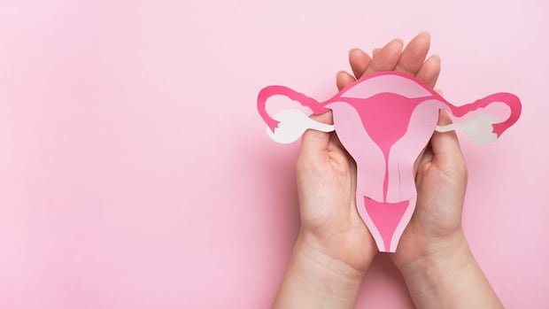 Does Early Menopause Before 40 Lead to Significant Health Challenges Later in Life? Scientists are Investigating.