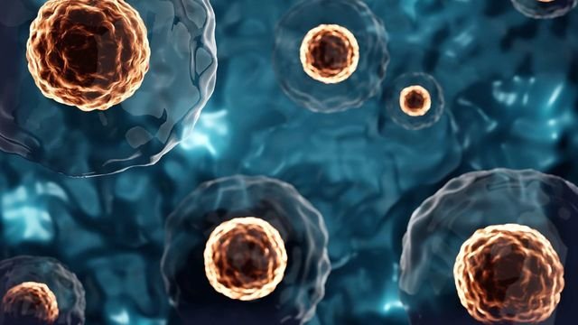 Enhanced Capsule Technique Revolutionizes Single-Cell Analysis