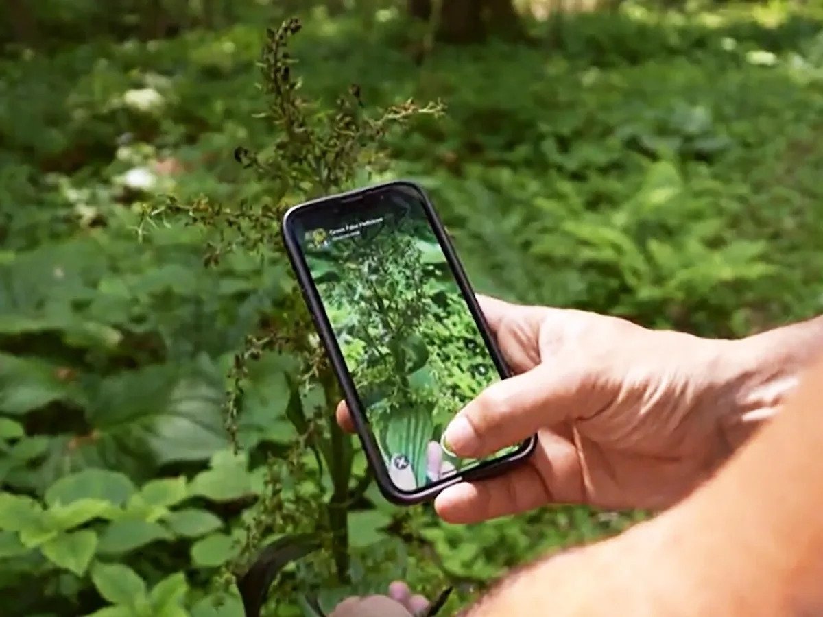 How iNaturalist Users Enjoy Themselves While Contributing to Science