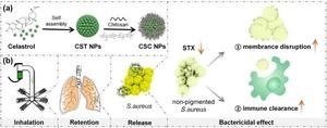 Inhalable Self-Assembled Celastrol for Treating Acute Bacterial Pneumonia