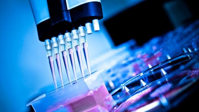 The Development of High-Throughput Screening Techniques