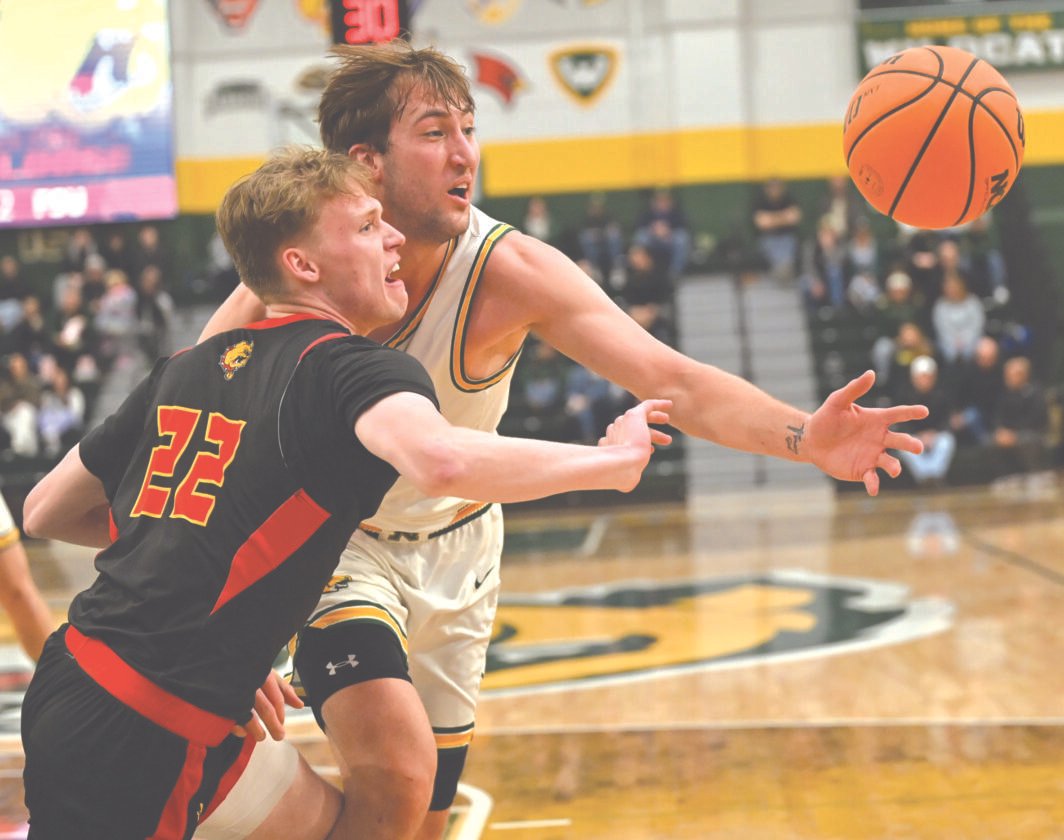Wildcat Men Achieve First Milestone in GLIAC Tournament | News, Sports, Jobs