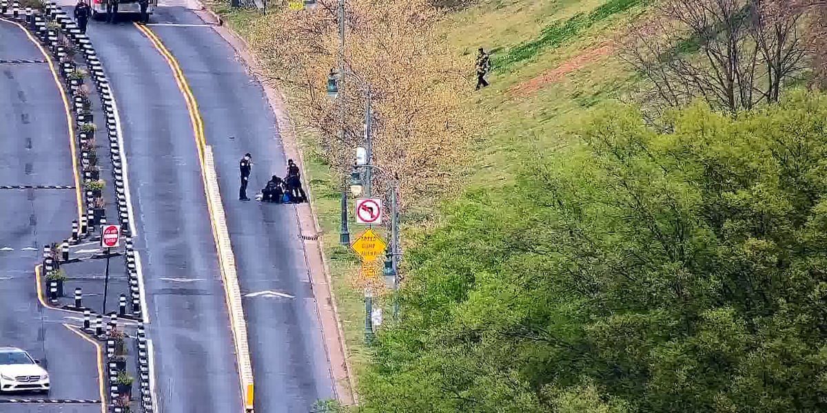 Woman Injured, Two Arrested Following Shooting at Tom Lee Park