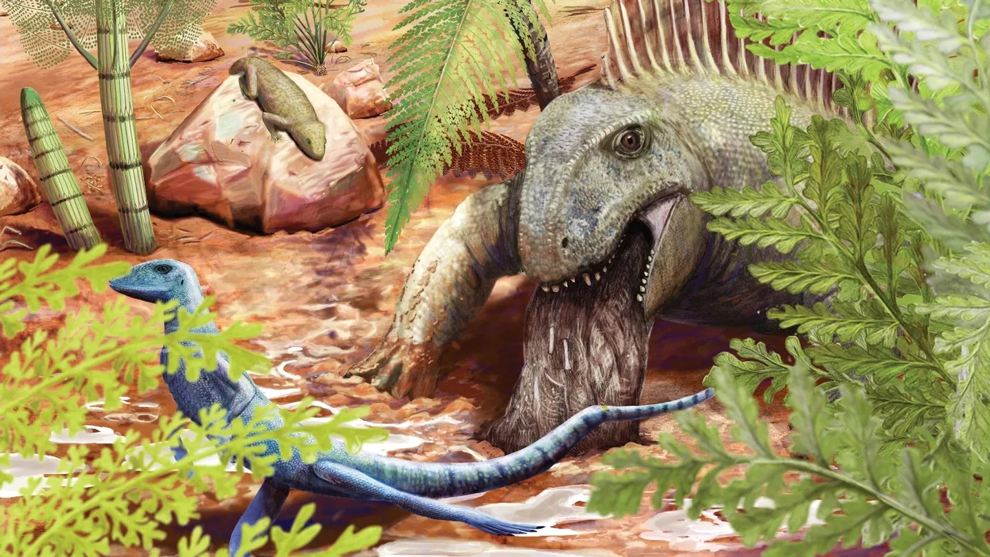 Clues from Ancient Ecosystems | Science News Learning