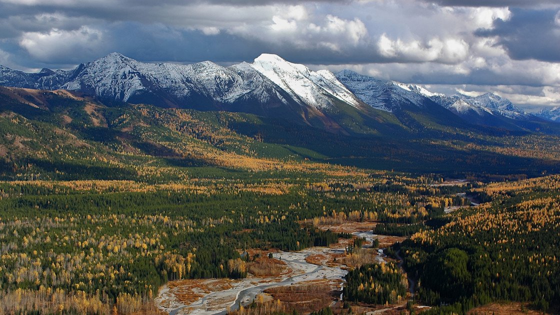 Critical Actions to Halt and Reverse Biodiversity Loss by 2030 to Protect Human Well-Being