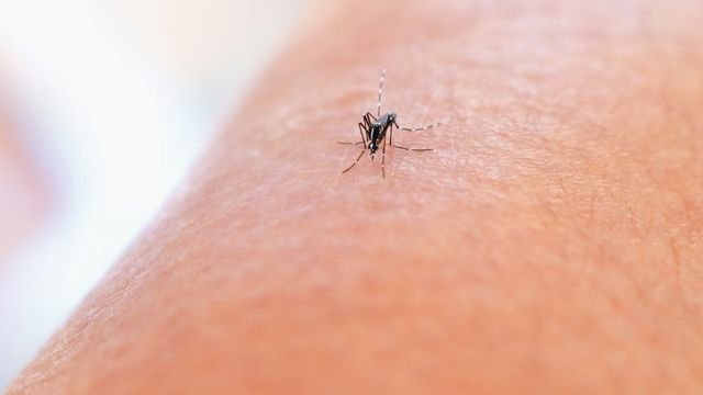 Enhancing Malaria Testing with Magnets and Polarized Light