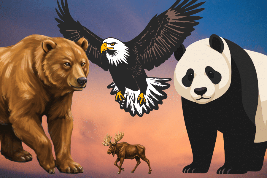 In a Multilateral World, Don’t Overlook Middle Powers