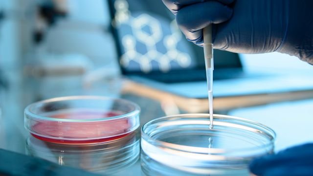 Innovative Liquid Handling Solutions for Contemporary Laboratory Workflows
