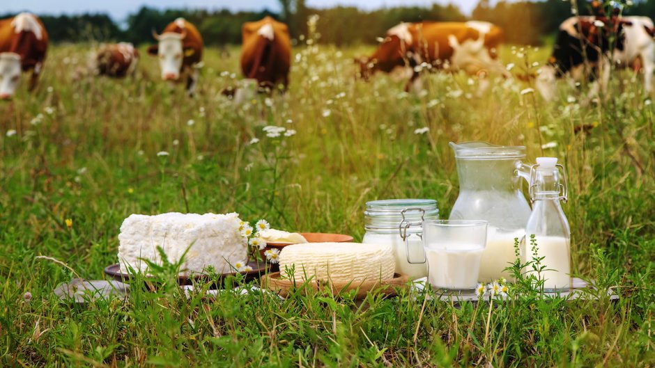 New Study Investigates Environmental Assertions and Climate Pledges of Leading Meat and Dairy Firms