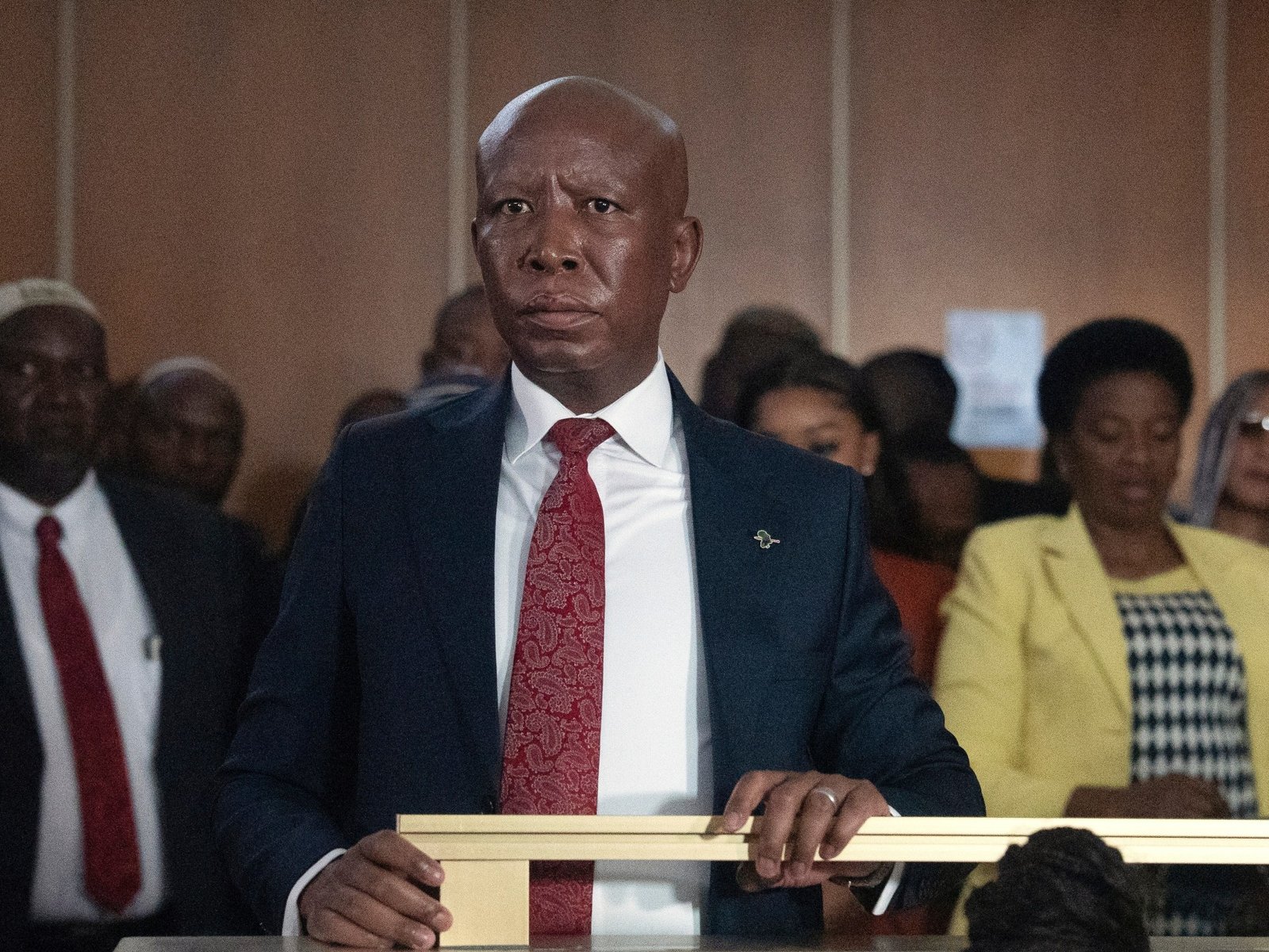 South African Politician Julius Malema Sentenced to Prison for Gun Incident | Court News