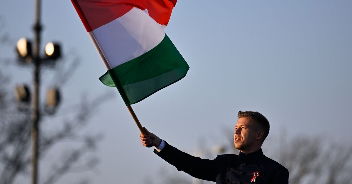 Unpacking Péter Magyar’s Rise from Government Insider to Orbán’s Main Rival :: WRAL.com