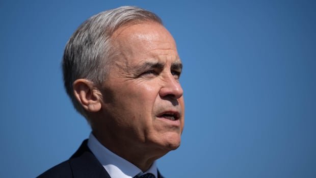 14 Liberal MPs Send Letter to Carney Addressing Environmental Concerns