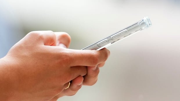Conservatives Aim to Curb Government Authority in Liberals’ Controversial Lawful Access Legislation