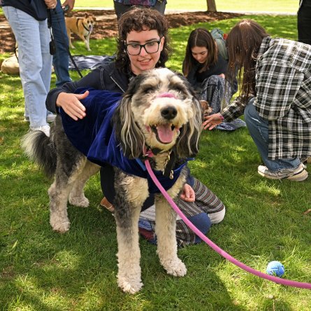 First Dog Day 2026 at Connecticut College News
