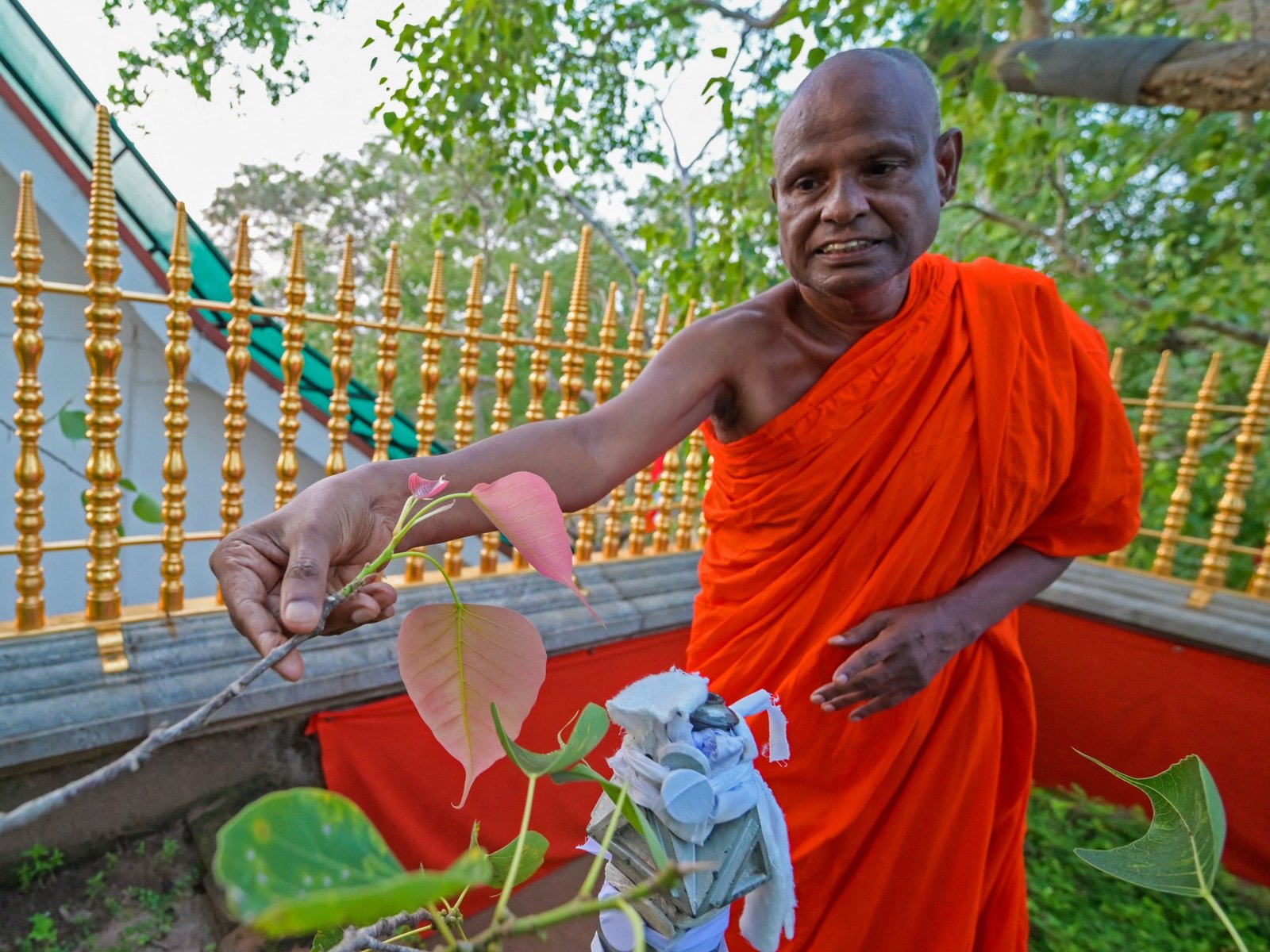 Senior Sri Lankan Monk Arrested for Alleged Child Sexual Offenses | Crime News
