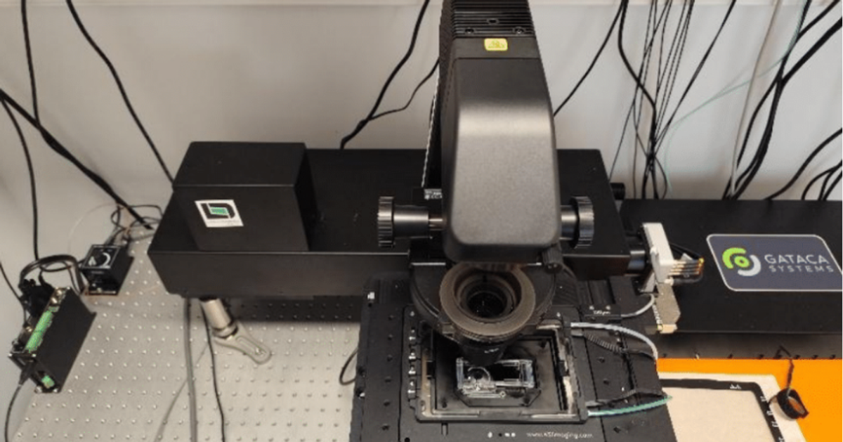 VertX Label-Free Imaging Enhances Infection Research