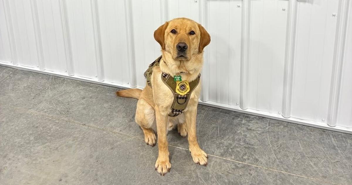 Wisconsin DOJ Employs Specialized Canines to Investigate Internet Crimes Against Children | News