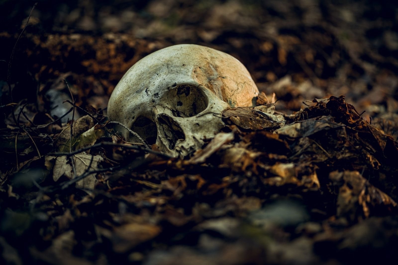 Scientists Discover the Reason Behind 4,400 Intact Human Brains Found in Skeletons